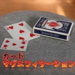 �J�[�h�E�}�O�j�t�B�P�[�V���� (�I�����C�����)