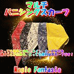 �}���`�E�o�j�V���O�X�J�[�t (DVD�t��)