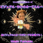 �r�W���A���E�^���b�g�J�[�h�X���[ (���{����DVD�t��)