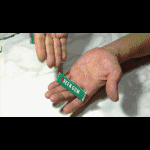 �uNendo EX�v�f�b�N�t�Z�b�g