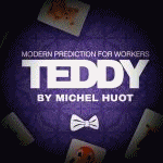 �e�f�B (TEDDY) (�����{�ꎚ���Ή���)