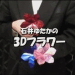 �Έ�䂽���́w3D�t�����[�x(�t�����[�S�{���DVD�Z�b�g)